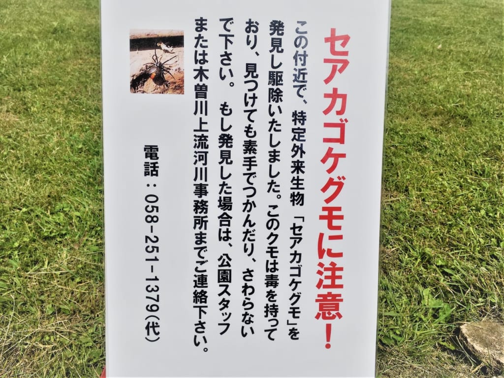 １３８タワーパークのセアカゴケグモにご注意の看板