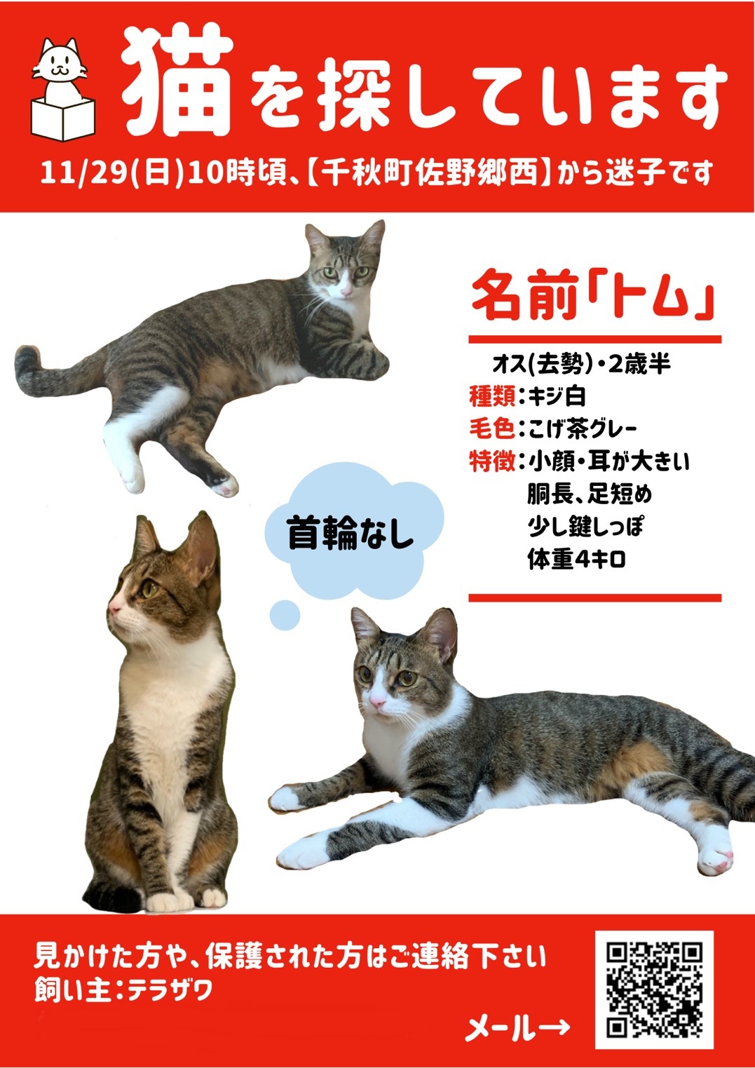 一宮市 見つかりました 一宮市内 千秋町 で迷子になった猫を探しています 見かけた方は情報のご提供をお願いします 号外net 一宮市