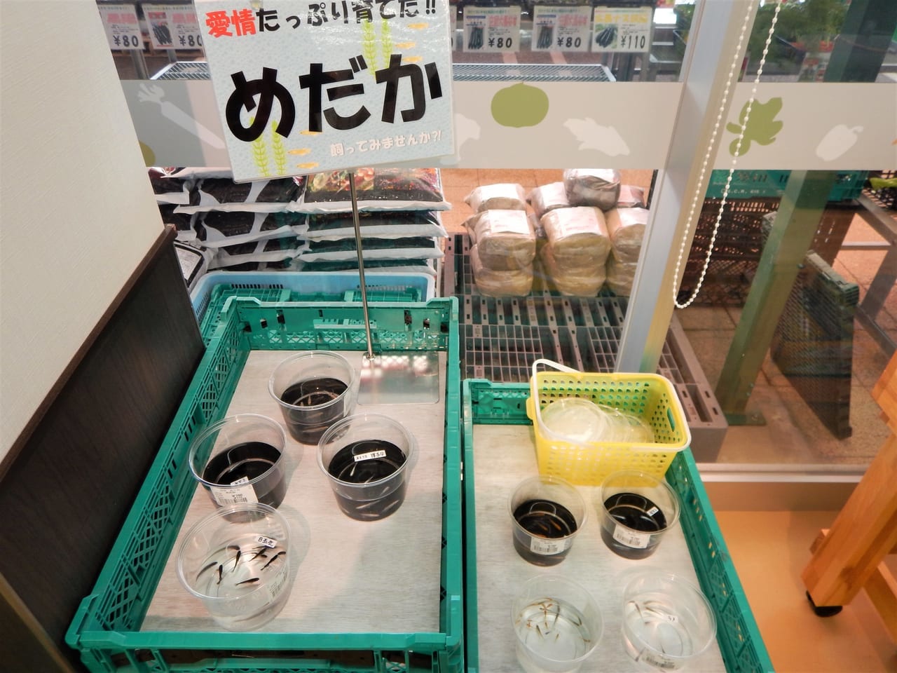 JA愛知西南小渕店で販売されていた野菜