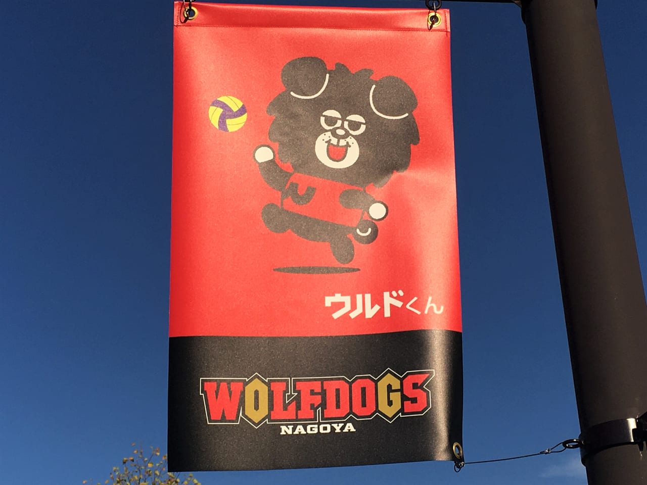 地元バレーボールチーム ウルフドッグズ名古屋の旗