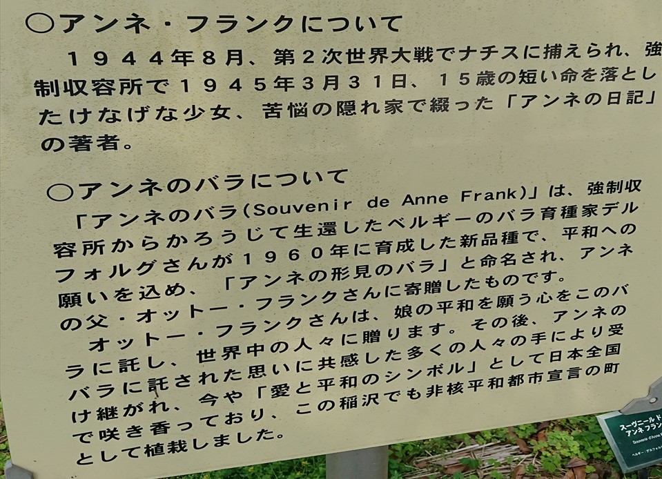 稲沢公園　バラ園のバラ　説明