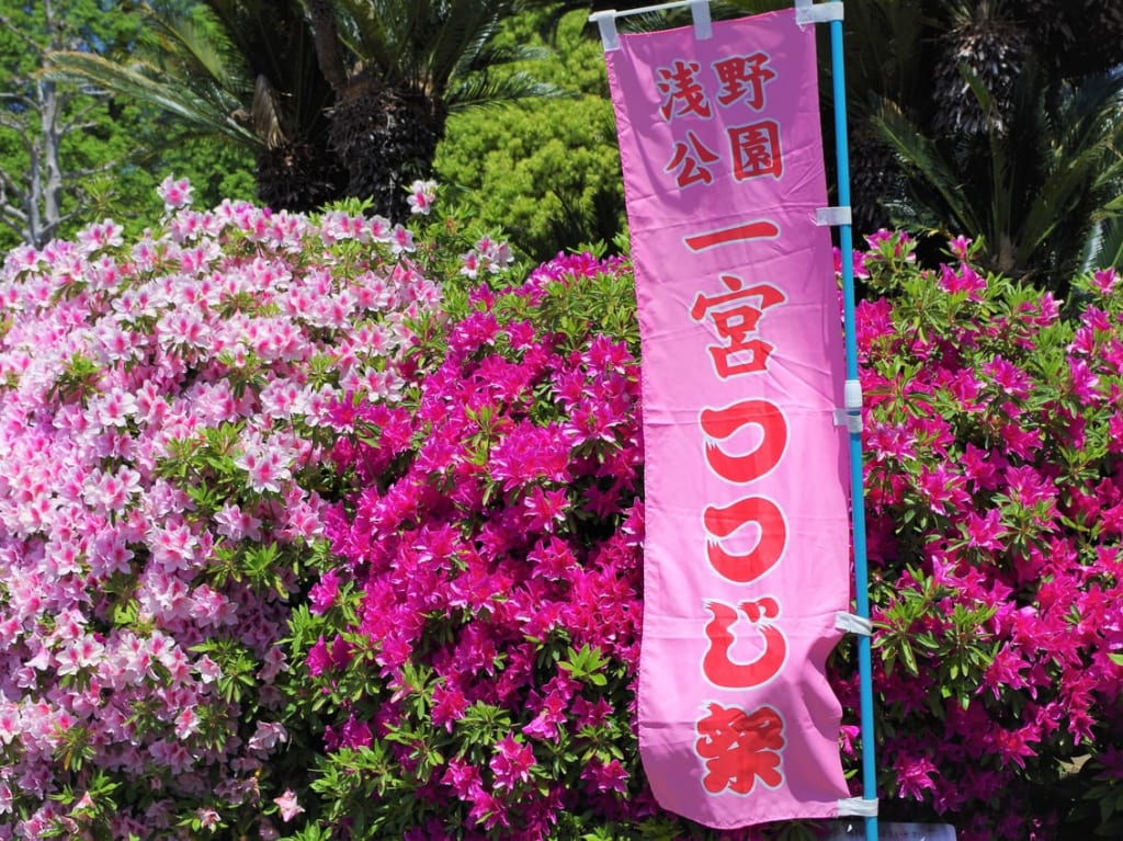 浅野公園のつつじ（２０２３年４月２７日現在）