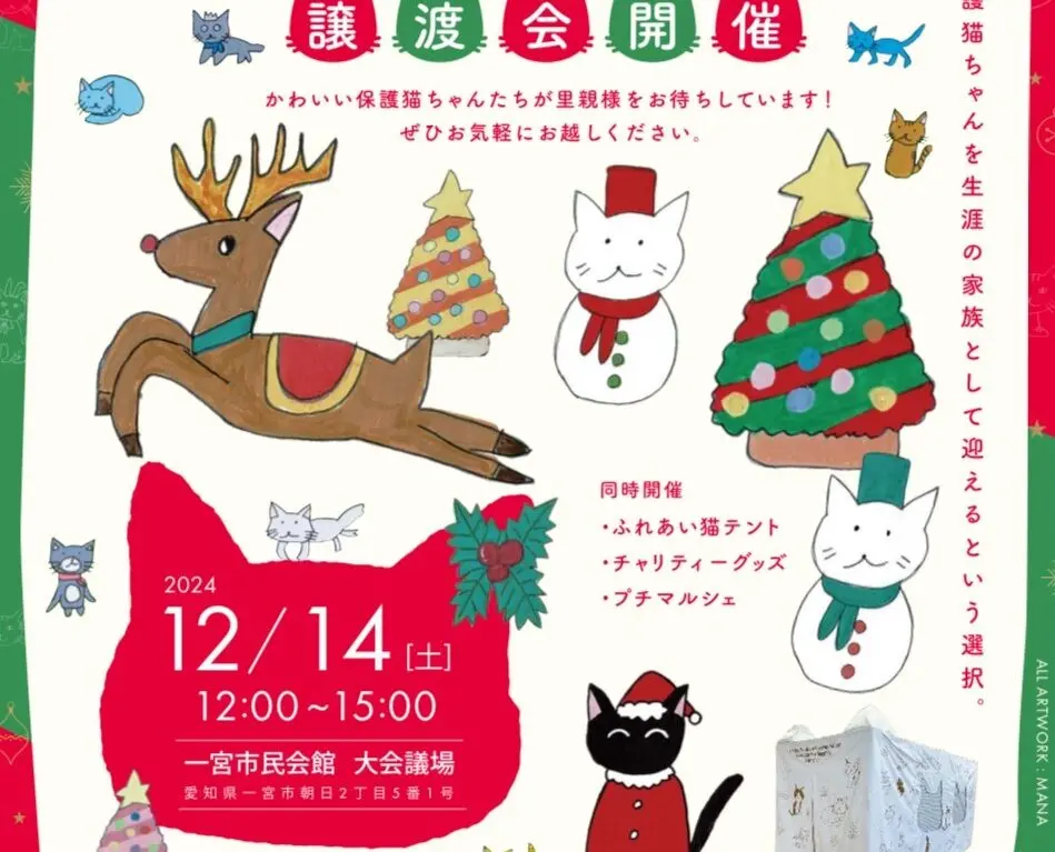 猫譲渡会１２月