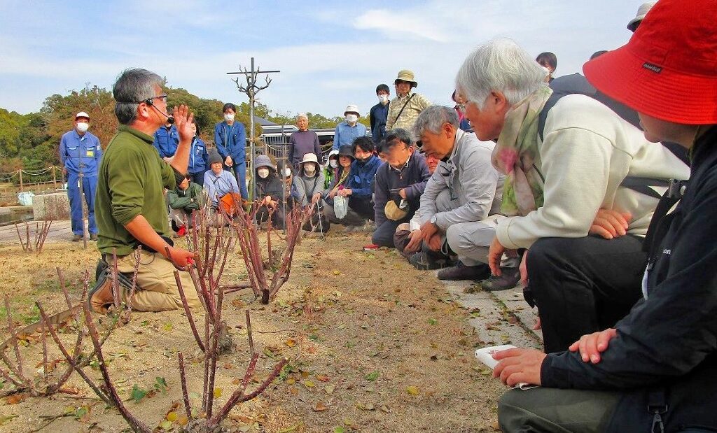 バラの冬季剪定講習会 開催のお知らせ