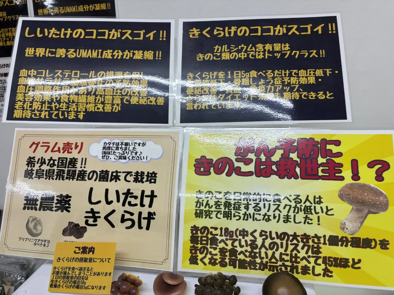 くうちゃんの店内