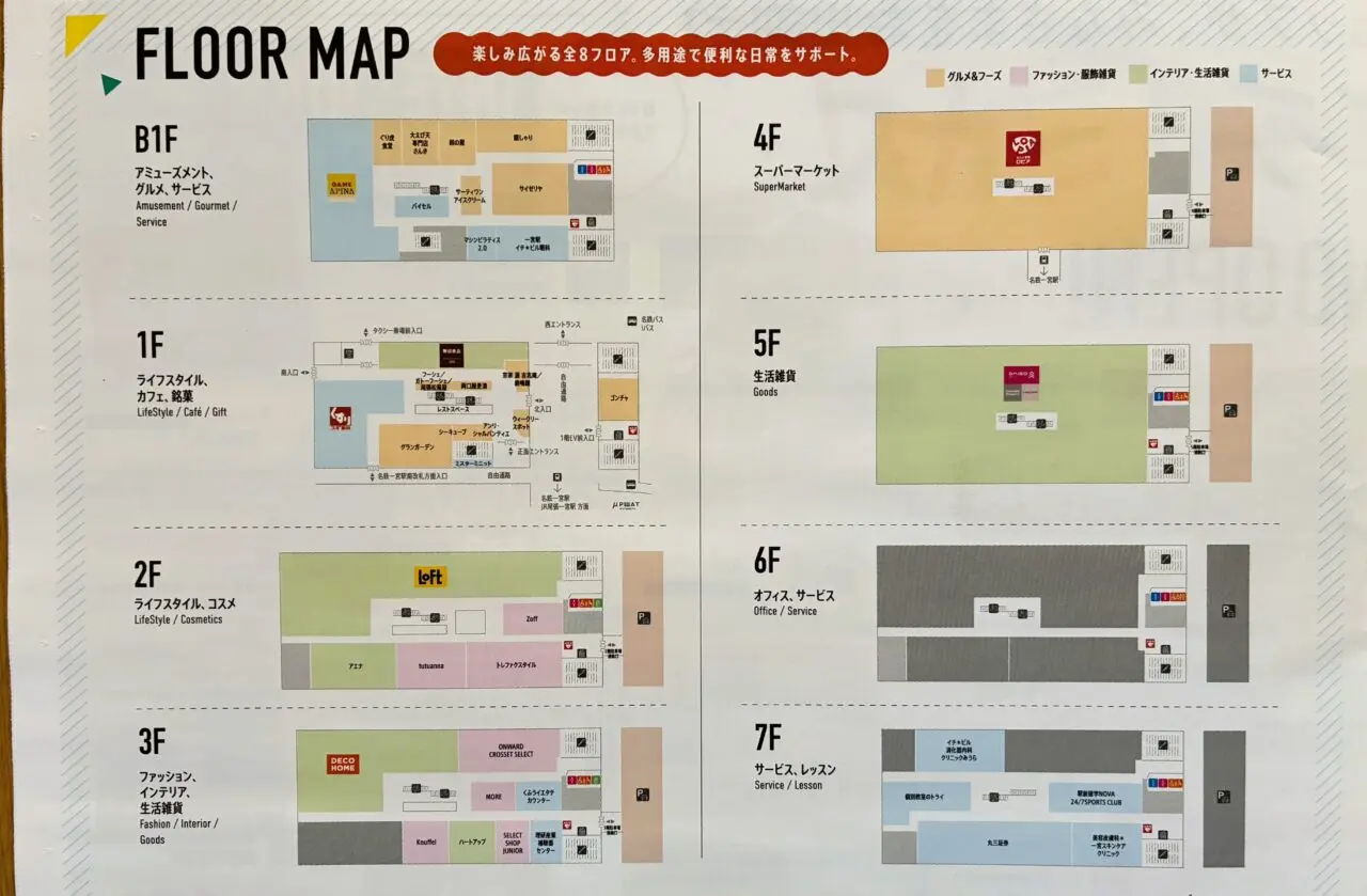 イチビルのチラシ