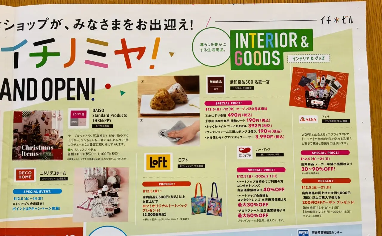 イチビルのチラシ