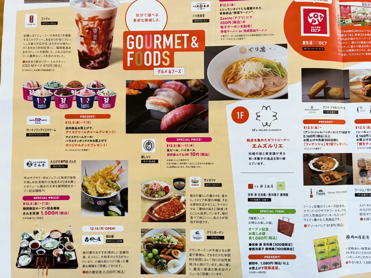 イチビルのチラシ