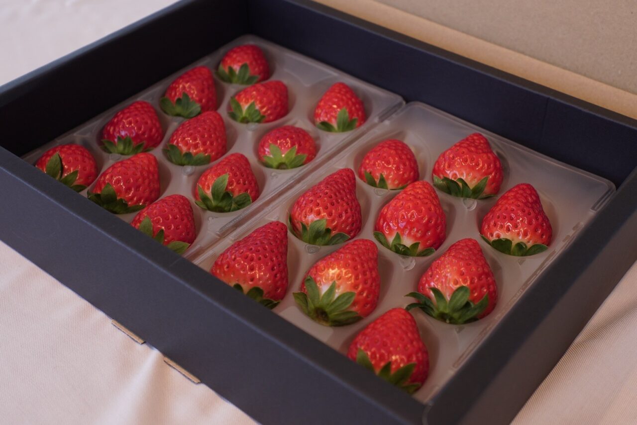 提供:いちごの大地