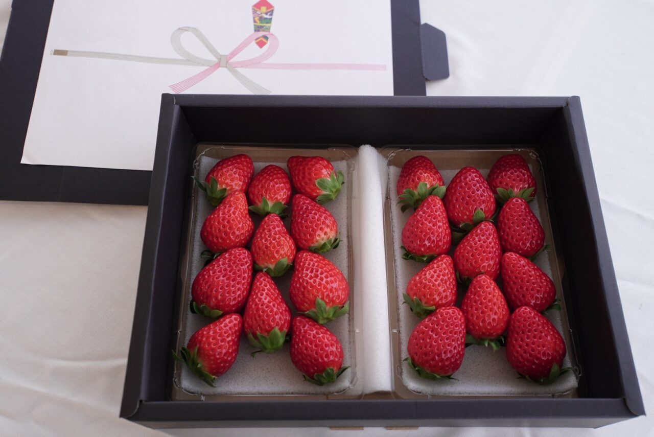 提供:いちごの大地