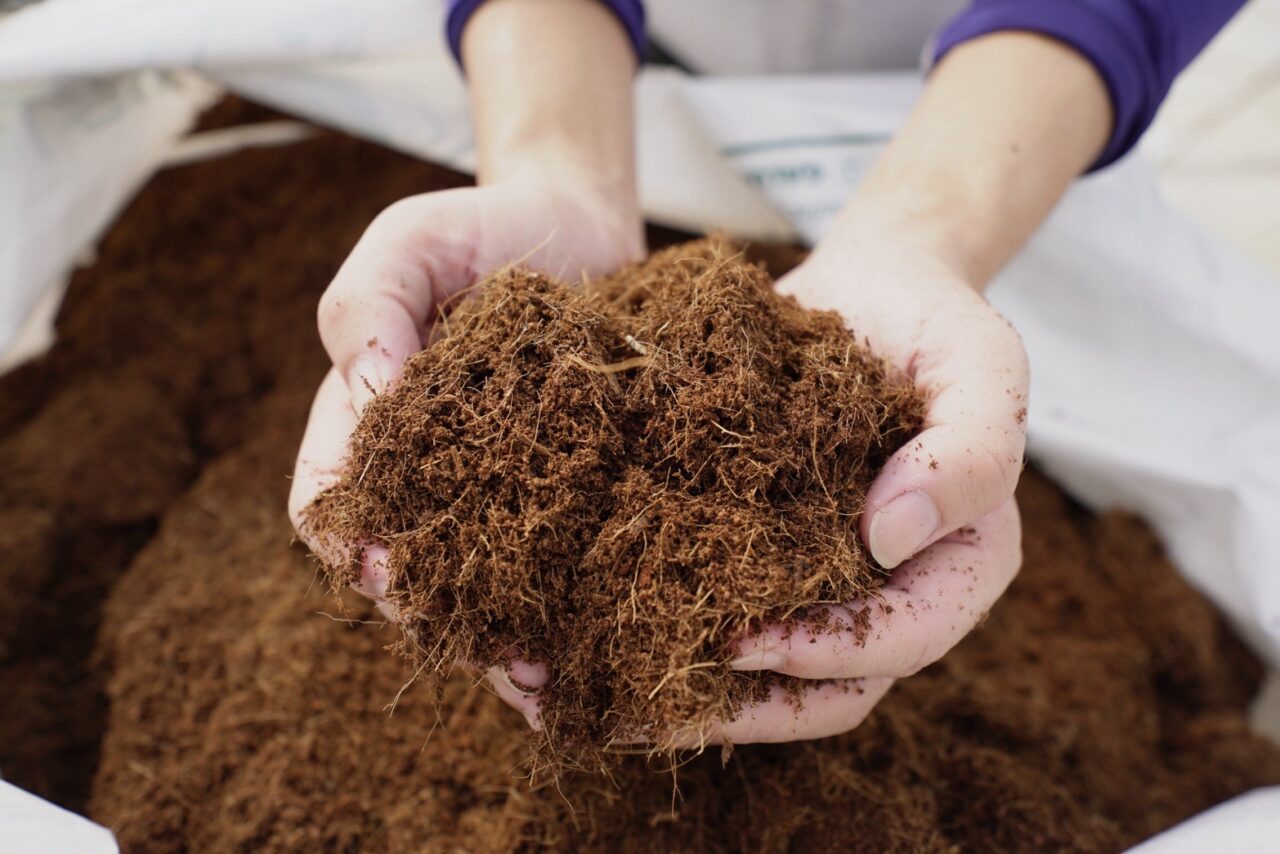 提供:いちごの大地