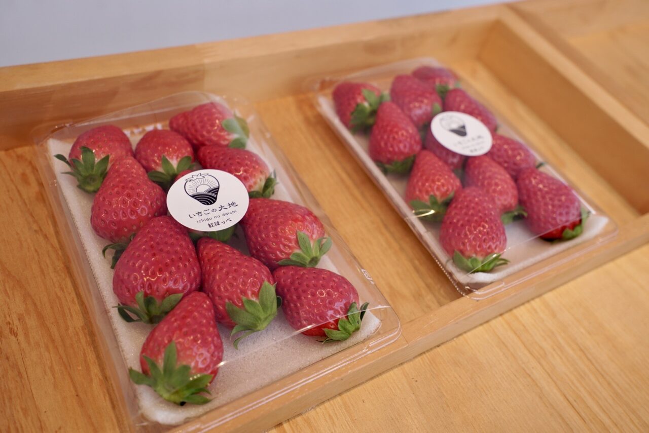 提供:いちごの大地