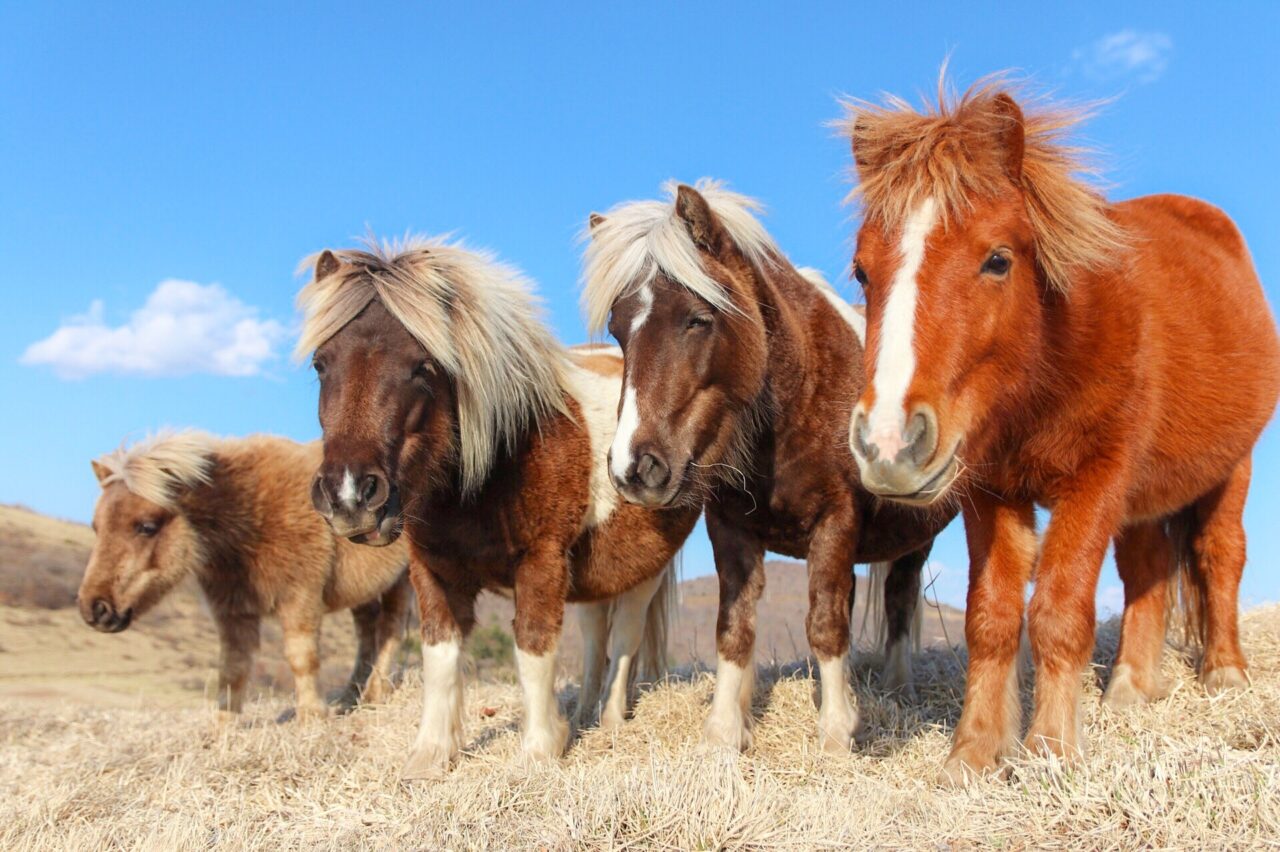※この画像はイメージです