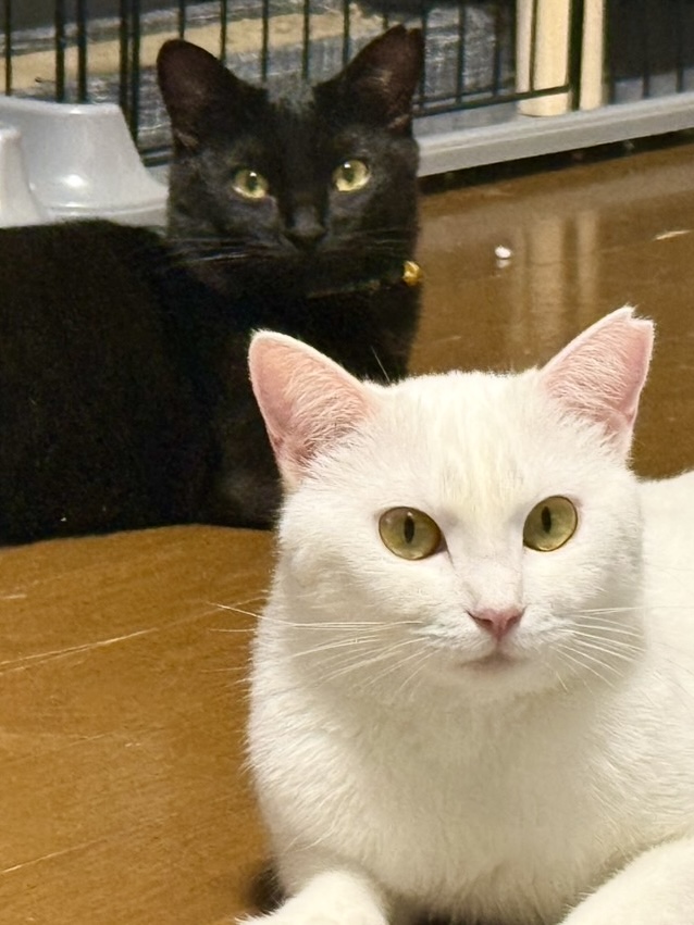 提供:NPO法人 hinatabocco