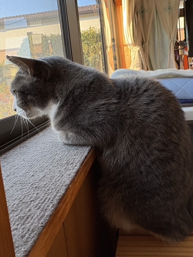 提供:NPO法人 hinatabocco