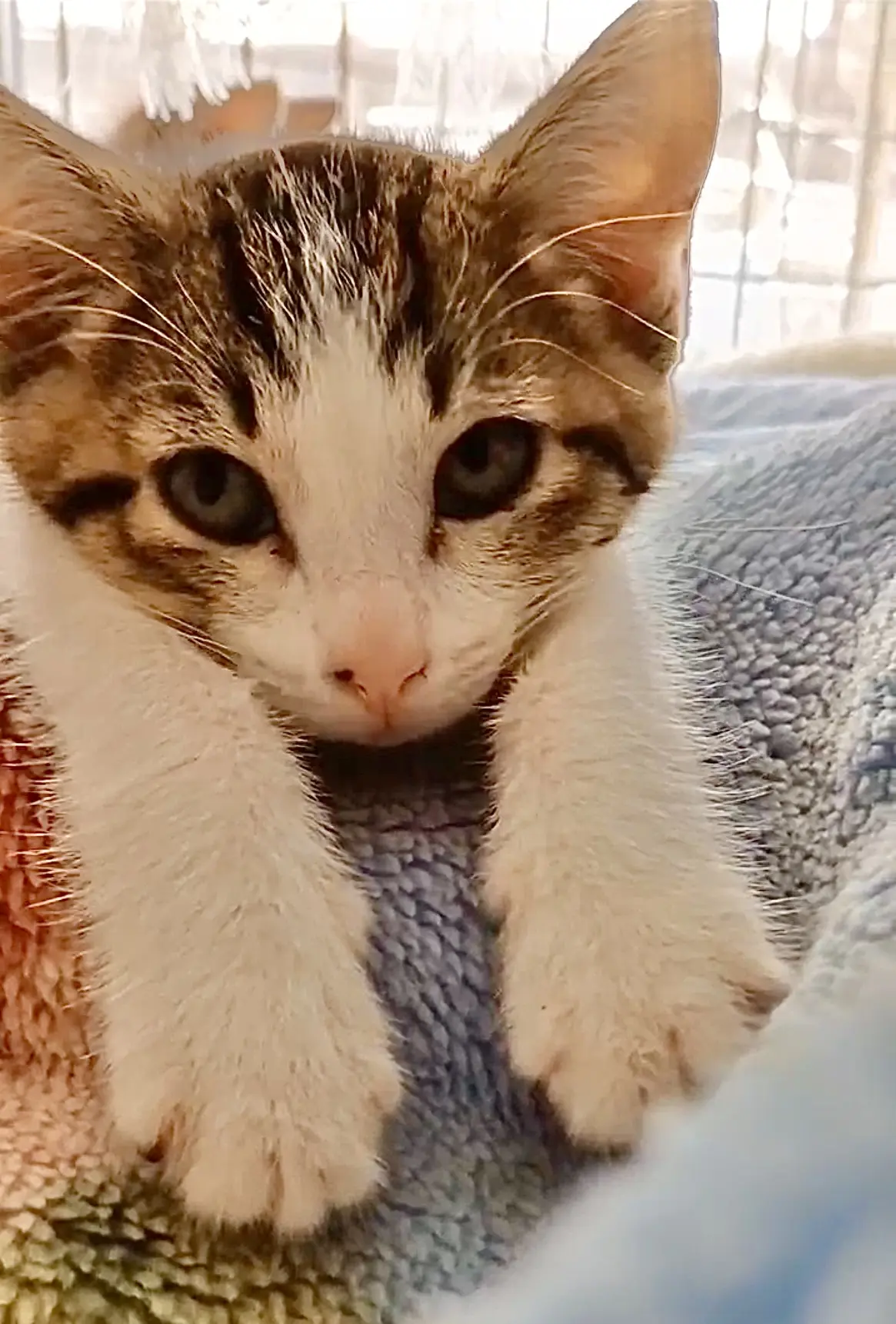 提供:NPO法人 hinatabocco