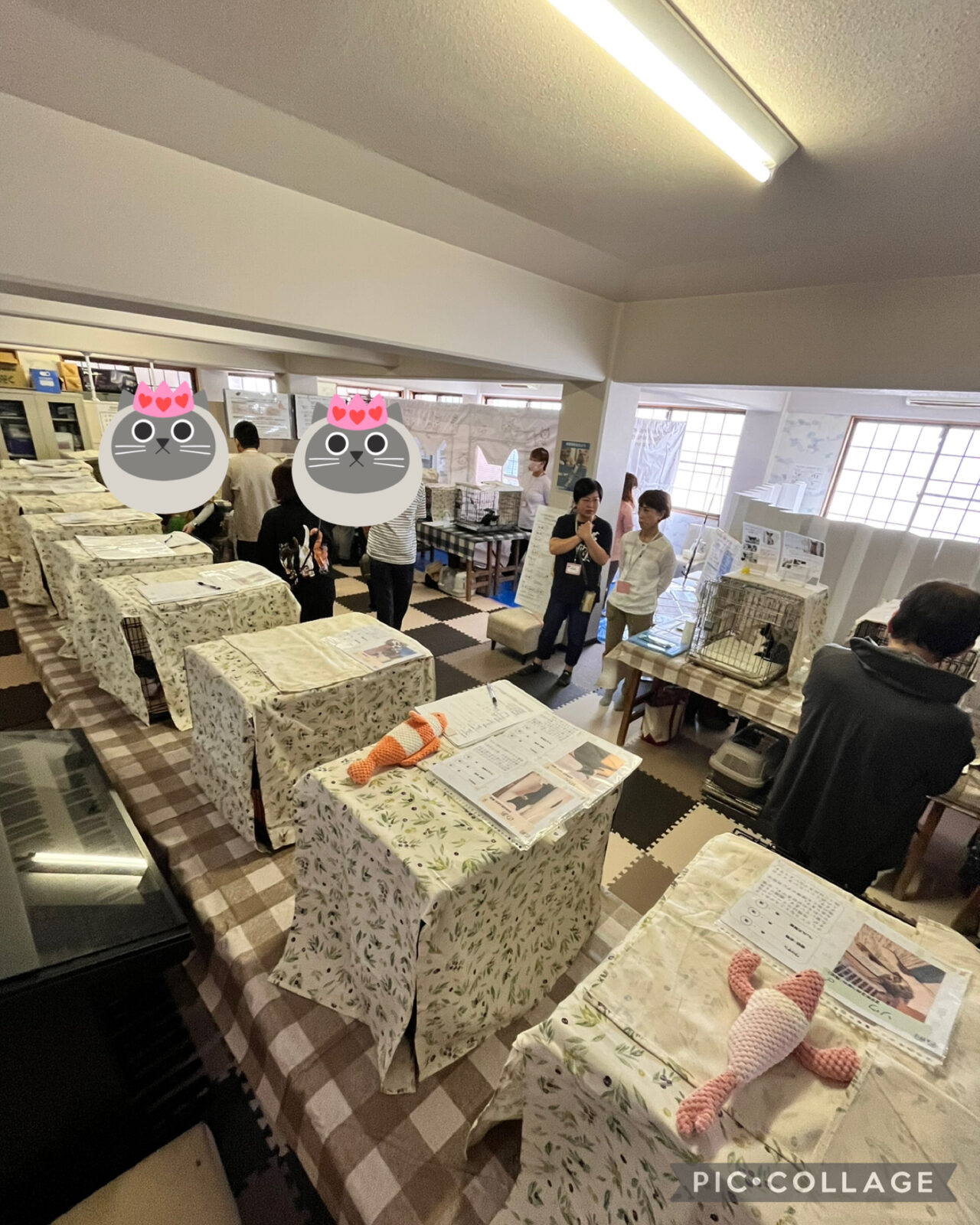 提供:NPO法人 hinatabocco