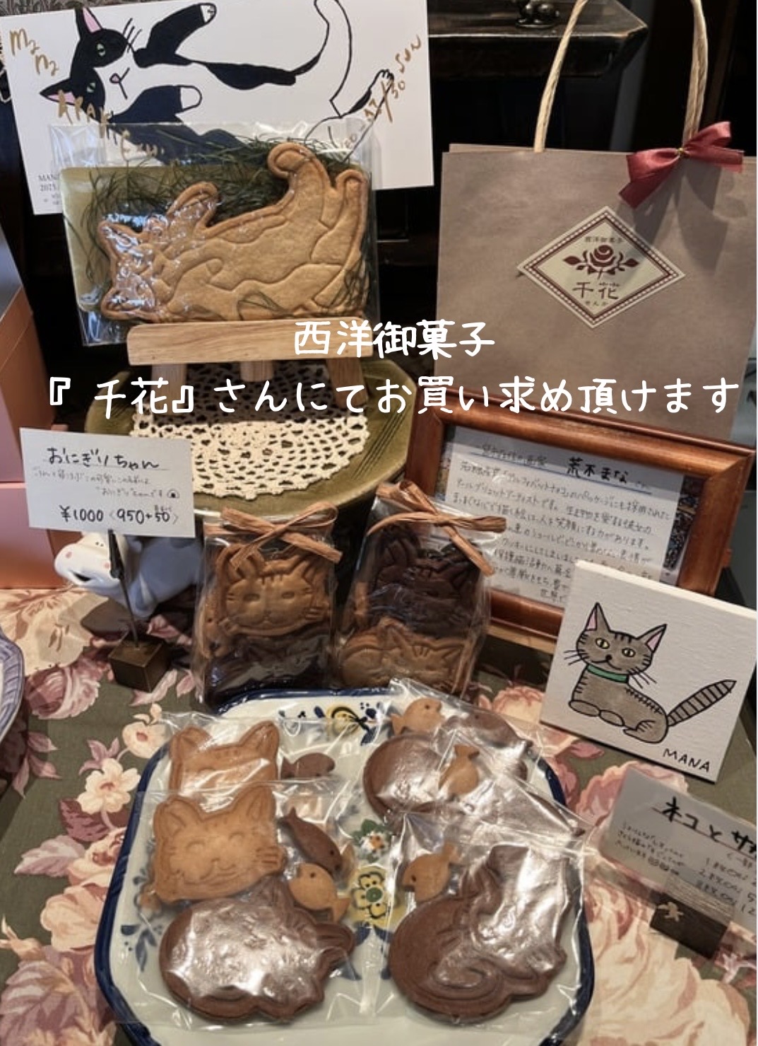 提供:NPO hinatabocco