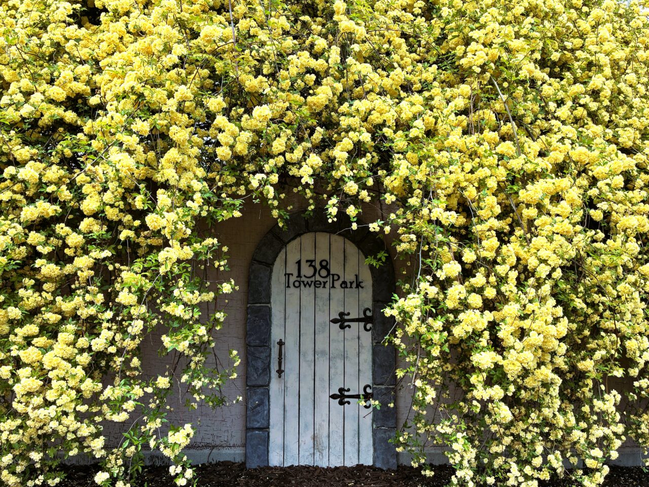 １３８タワーパークの光景