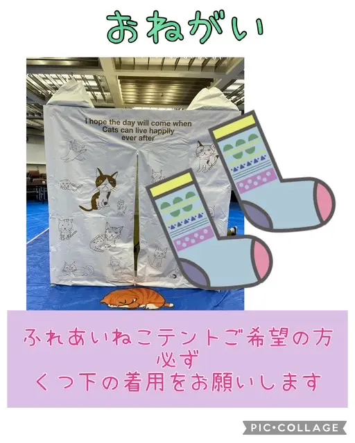 提供:NPO法人 hinatabocco